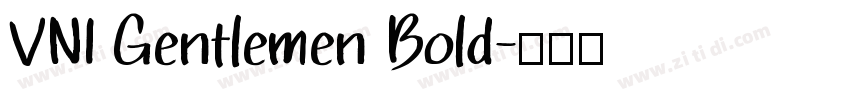 VNI Gentlemen Bold字体转换